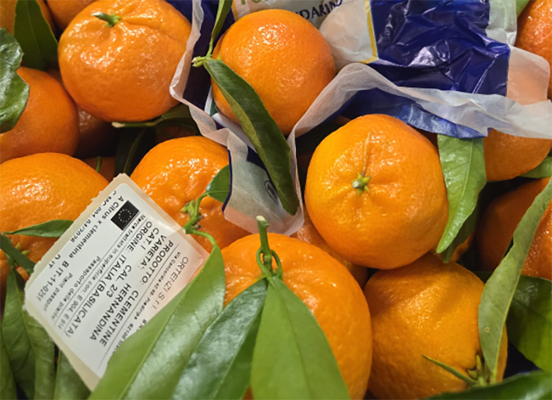 Clementine - Basilicata - 2,10 euro al chilogrammo